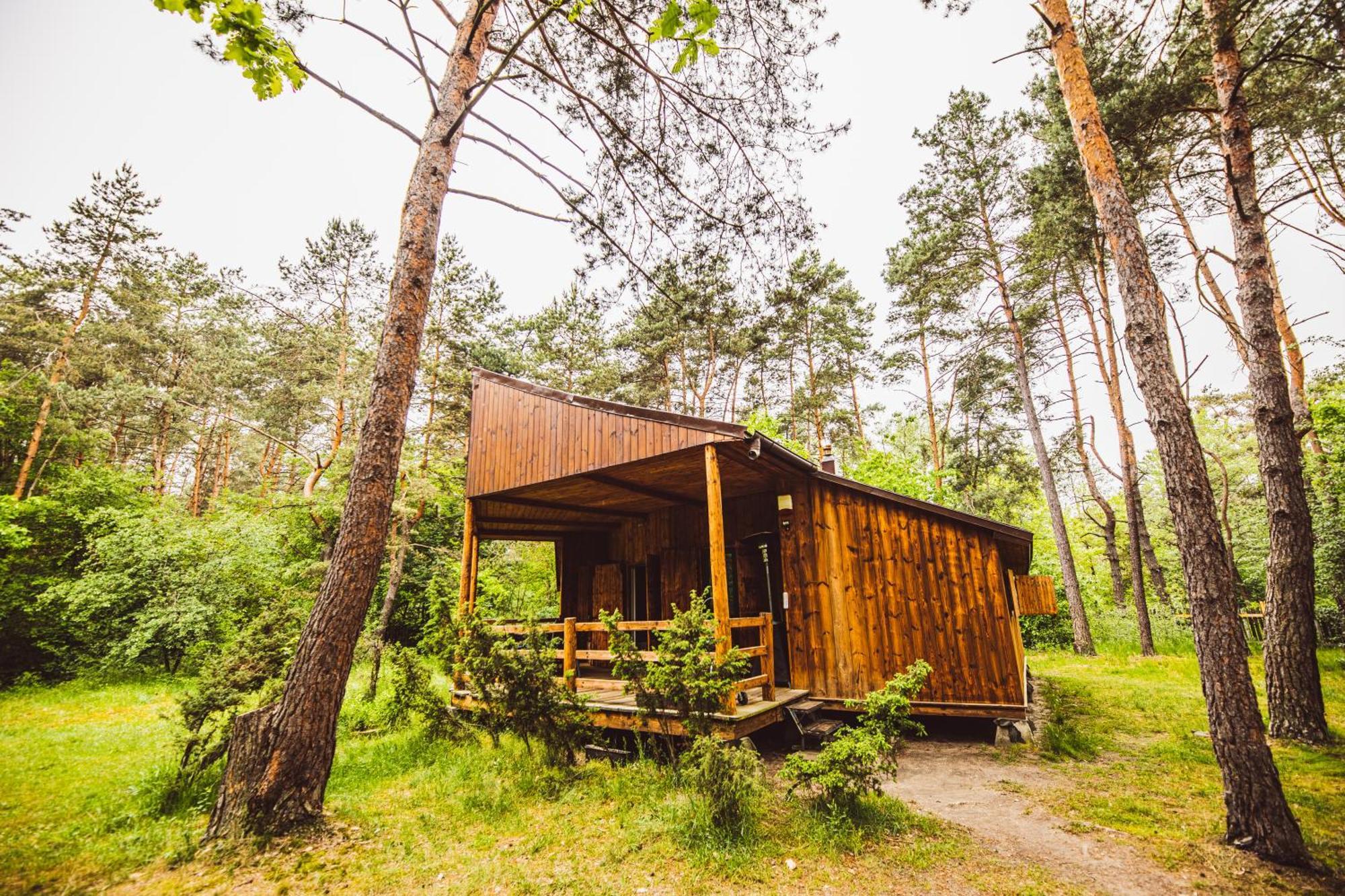 Cozy Nature Retreat With Patio Fireplace Garden Maciejowice Екстер'єр фото