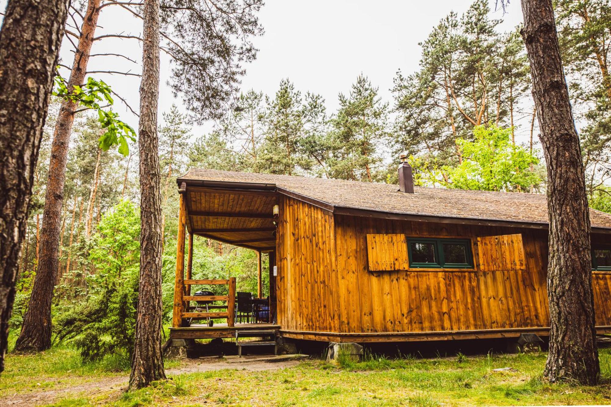 Cozy Nature Retreat With Patio Fireplace Garden Maciejowice Екстер'єр фото