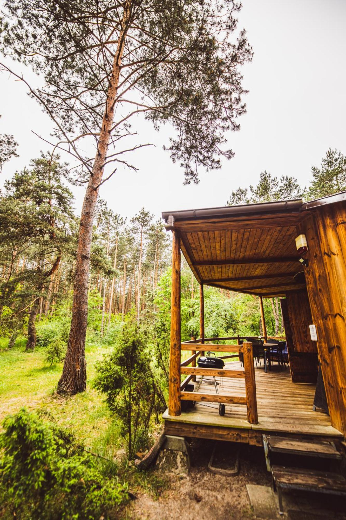 Cozy Nature Retreat With Patio Fireplace Garden Maciejowice Екстер'єр фото