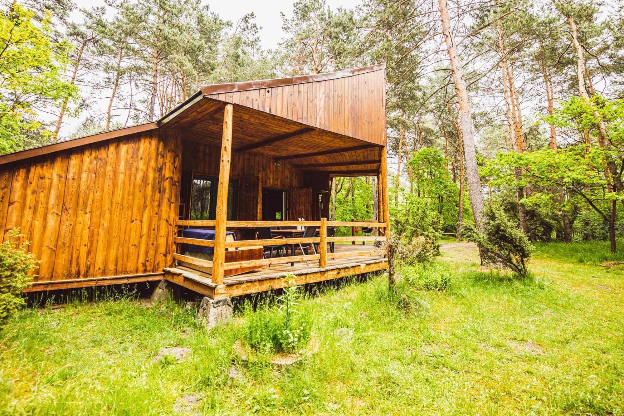 Cozy Nature Retreat With Patio Fireplace Garden Maciejowice Екстер'єр фото
